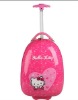 Reborn children trolley luggage