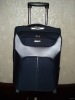 Reborn eva trolley case