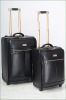 Reborn leather trolley luggage