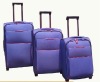 Reborn travel luggage