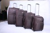 Reborn trolley suitcase