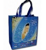 Recycle PP Woven Retail Bag(glt-w0334)