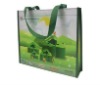 Recycle PP non woven handle shopping bag for European market