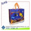 Recycle shopping bag, eco and fashion (NW-0955)