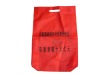 Recycleable PP Shopping Bag