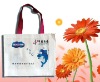 Recycled Non Woven Gift Bag