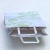 Recycled Paper bag