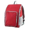 Red Bicycle Cooler Bag for Food