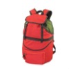 Red Insulated Cooler Backpack Icebag