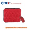 Red Laptop sleeves & Wireless Mouse