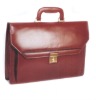 Red Leather Bag