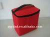 Red Nylon Camping Lunch Bags