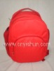 Red Picnic Cooler Bag