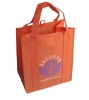 Reusable Eco-friendly PP Nonwoven Promotional Bag