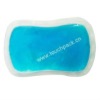 Reusable Ice Gel Packs