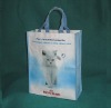 Reusable Non-woven Bag for Shopping