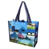 Reusable PP non woven bag for shopping