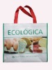 Reusable PP woven bag for shopping