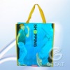 Reusable Shopping Bag