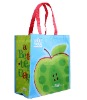 Reusable Shopping Bags