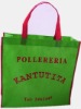 Reusable low price 70gsm non-woven bags for 2012