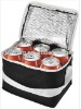 Reusable non woven cooler bag for cans