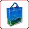 Reusable promotion bag