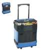 Rolling cooler bag