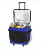 Rolling cooler bag on wheels