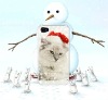SWEET Kitty for iPhone4G-Winter/2012 Snowflakes Mobile Phone Accessories
