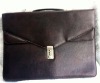 SY20110105 briefcase