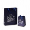 Satin Handle Promotional Paper Bag