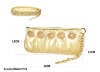 Satin lady evening bag/party bag