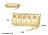 Satin lady evening bag/party bag