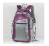 School bag(HI25321)