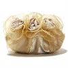 Sell high quality evening bag, clutch bag, evening clutches 029