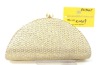 Shinny Clutch Metal Bag