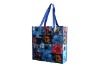 Shopping Bag