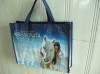 Shopping Bag (PP SHOPPING BAG,PP WOVEN SHOPPING,PE WOVEN SHOPPING BAG)