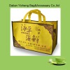 Shopping Gift Printing Non-woven Bag