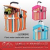 Shopping cooler basket