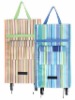 Shopping trolley bag for promotions