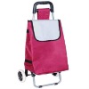 Shopping trolley wheeled bags