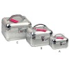 Silver Aluminum Cosmetic Case Set