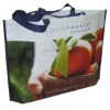 Special Style Laminated PP Gift Bag