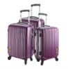 Spinner 3pc luggage case set