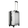 Spinner PC Trolley Case/ABS Luggage