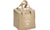Square Insulated Non-Woven Lunch Cooler Bag