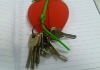 Strawberry silicone key case (hot sale)