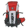 Stylish backpack 2011